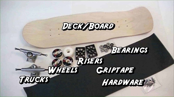 All Parts Of A Skateboard – A Full Anatomization For Beginners