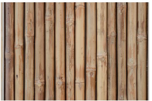 best wood for longboard